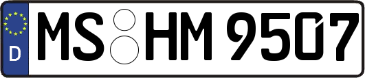 MS-HM9507