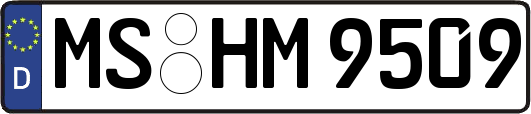 MS-HM9509