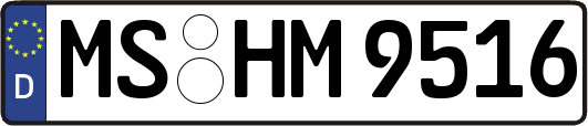 MS-HM9516