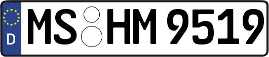 MS-HM9519