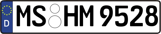 MS-HM9528