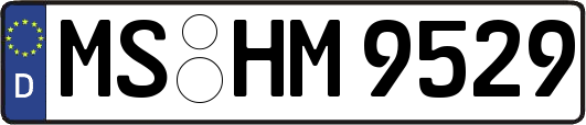 MS-HM9529