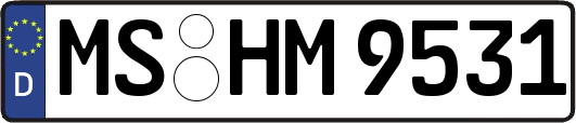 MS-HM9531