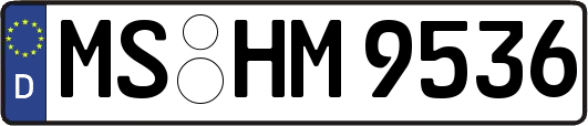 MS-HM9536