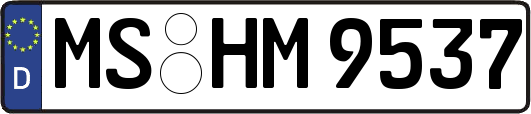 MS-HM9537