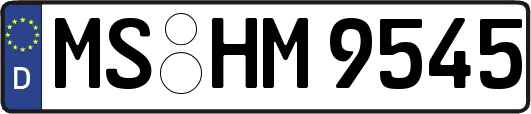 MS-HM9545