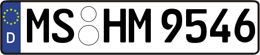 MS-HM9546