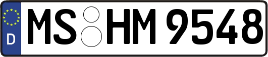 MS-HM9548