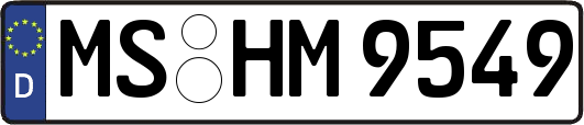 MS-HM9549