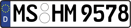 MS-HM9578