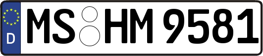 MS-HM9581