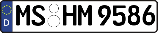 MS-HM9586