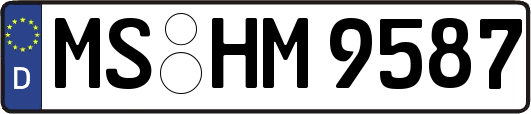 MS-HM9587
