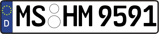 MS-HM9591