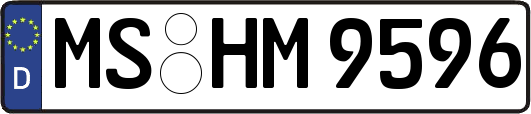 MS-HM9596
