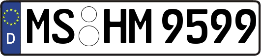 MS-HM9599