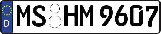 MS-HM9607