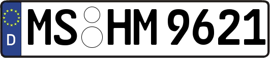 MS-HM9621