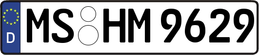 MS-HM9629