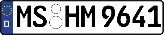 MS-HM9641