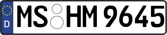 MS-HM9645