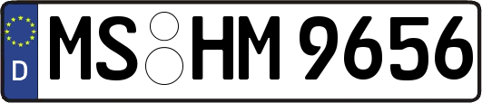 MS-HM9656