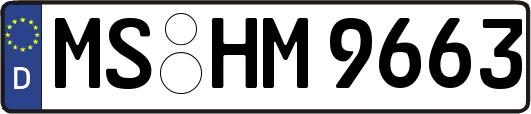 MS-HM9663