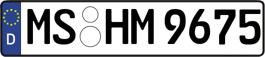 MS-HM9675