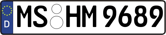 MS-HM9689