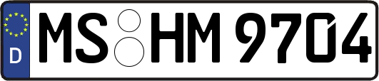 MS-HM9704