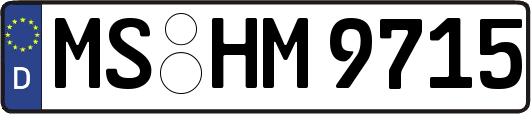 MS-HM9715