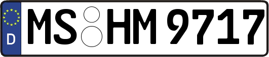 MS-HM9717