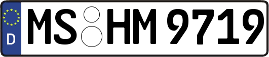 MS-HM9719