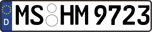 MS-HM9723