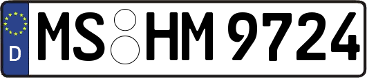 MS-HM9724