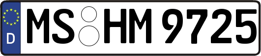 MS-HM9725