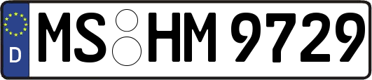 MS-HM9729