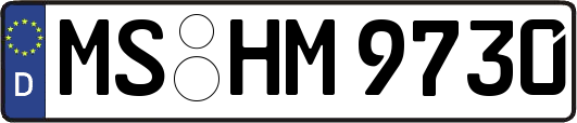 MS-HM9730
