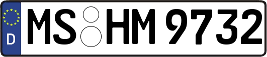 MS-HM9732