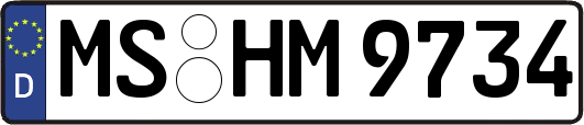 MS-HM9734