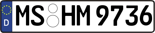 MS-HM9736