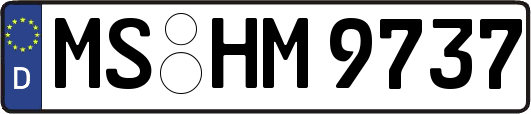 MS-HM9737