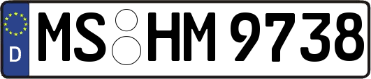 MS-HM9738