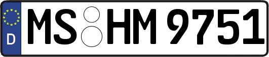 MS-HM9751