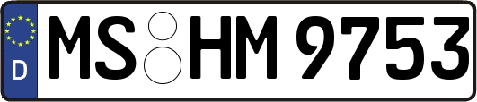 MS-HM9753