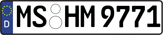 MS-HM9771