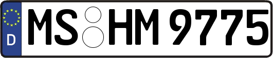MS-HM9775