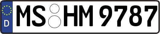 MS-HM9787