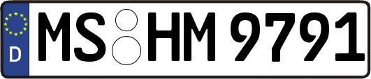 MS-HM9791