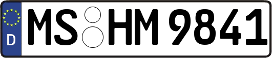 MS-HM9841